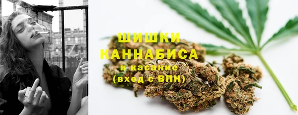 молекула духа Белокуриха