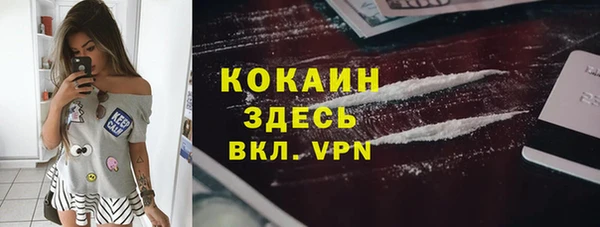 индика Белоозёрский