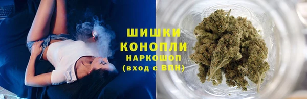 молекула духа Белокуриха