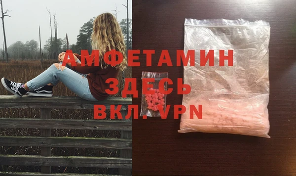 индика Белоозёрский