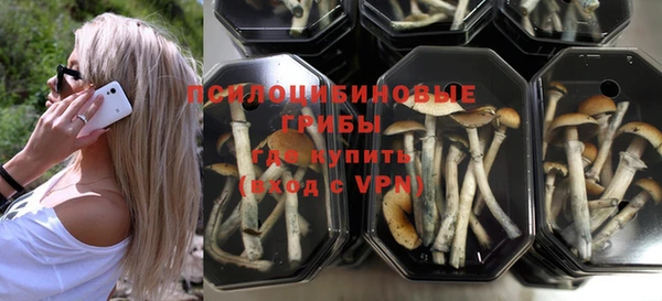 индика Белоозёрский