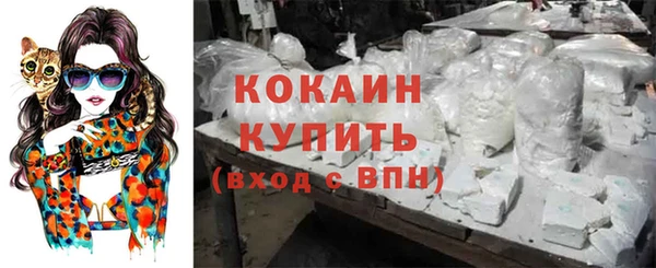молекула духа Белокуриха
