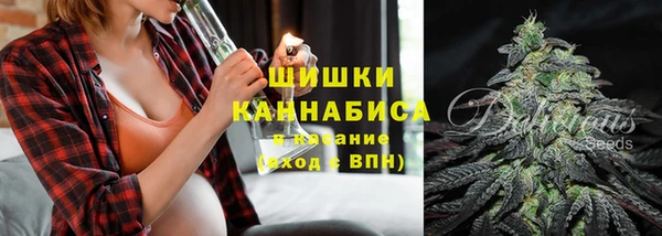 индика Белоозёрский