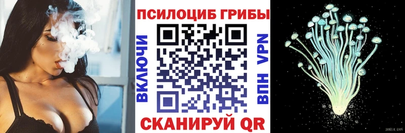 наркота  Вуктыл  кракен онион  Псилоцибиновые грибы Magic Shrooms 