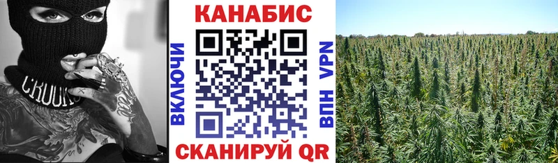 Конопля семена  omg ссылки  Вуктыл 